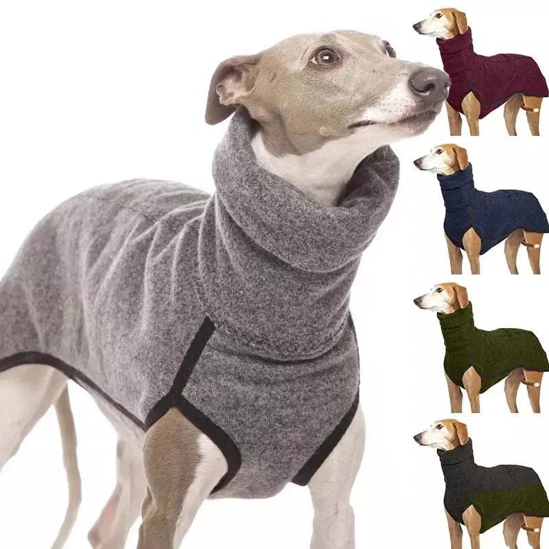 Roupa para Cachorro Galgo